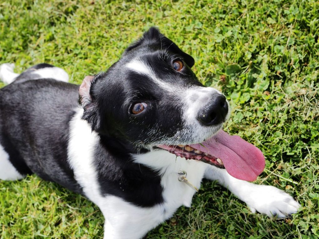 Обзор Olympus M.ZUIKO DIGITAL ED 8–25 мм F4.0 PRO картинка Olympus M.ZUIKO