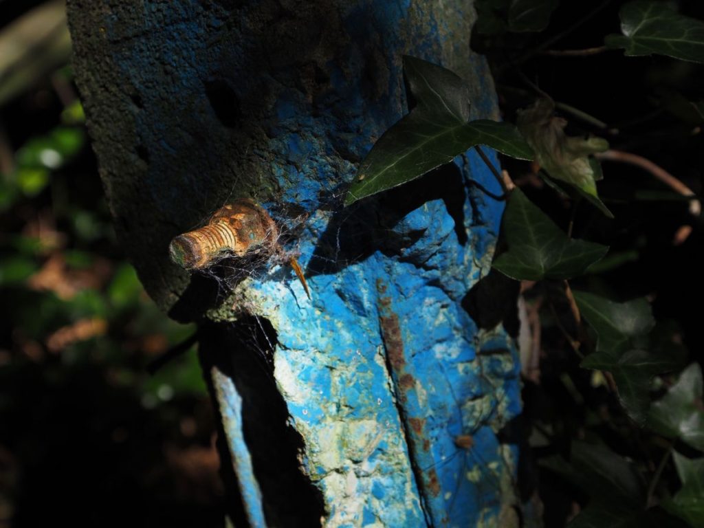 Обзор Olympus M.ZUIKO DIGITAL ED 8–25 мм F4.0 PRO картинка Olympus M.ZUIKO