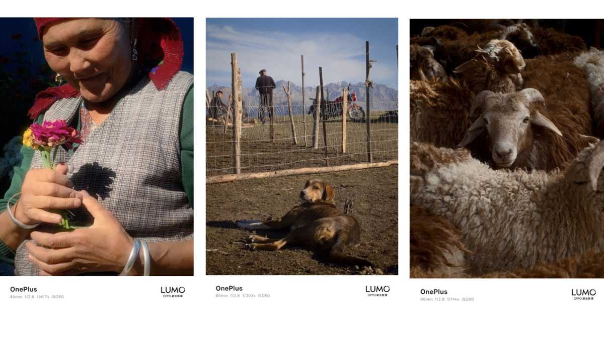 OnePlus 15: почему этот флагман станет поворотным моментом для бренда? картинка OnePlus 15 почему этот флагман станет поворотным моментом для бренда