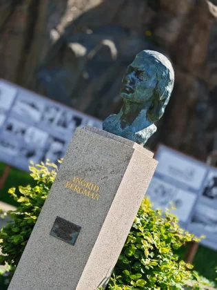 Oppo Find X8 Ultra — смартфон мечты_