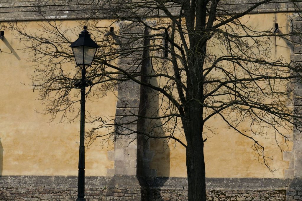 Обзор объектива Panasonic Lumix S 24–105 мм f/4 Macro OIS картинка Panasonic Lumix S