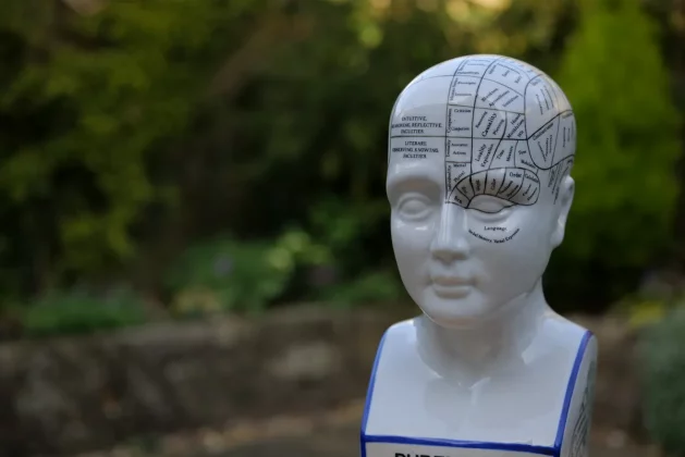 Обзор объектива Panasonic Lumix S Pro 70-200 мм f/4 O.I.S. фото