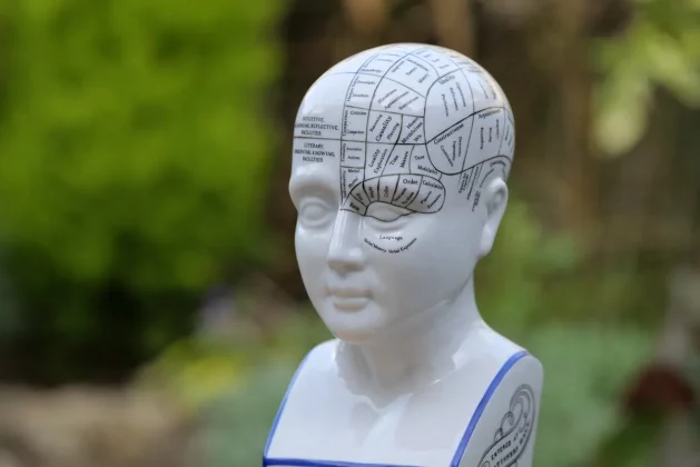 Обзор объектива Panasonic Lumix S Pro 70-200 мм f/4 O.I.S. фото