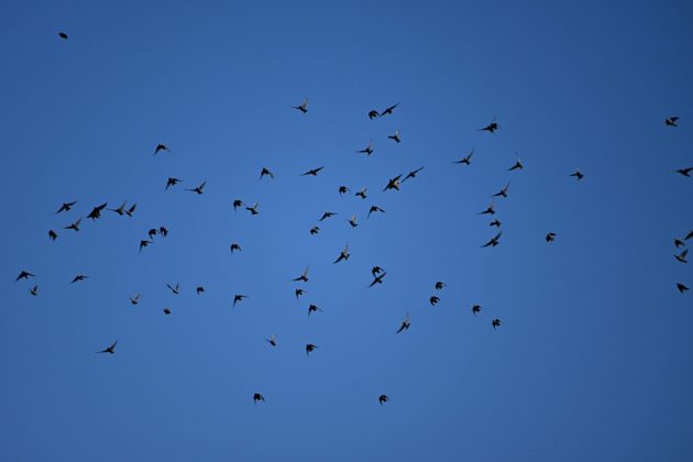 Забудьте про pro-камеры! Мой эксперимент с бюджетной техникой в путешествии. фото