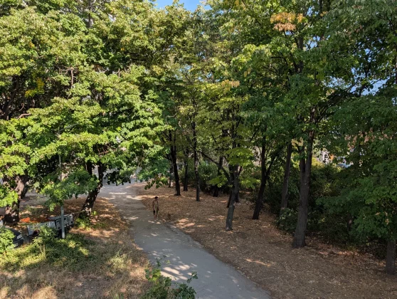 Обзор Pixel 10 Pro: новые мозги в старой оболочке фото