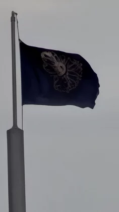 Обзор Pixel 10 Pro: новые мозги в старой оболочке фото