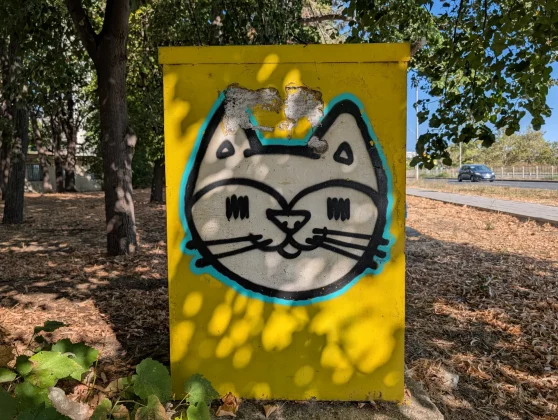 Обзор Pixel 10 Pro: новые мозги в старой оболочке фото