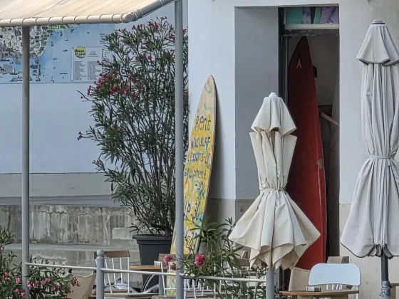 Pixel 10 Pro XL против Galaxy S25 Ultra: битва камерофонов фото