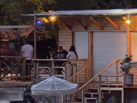 Pixel 10 Pro XL против Galaxy S25 Ultra: битва камерофонов фото