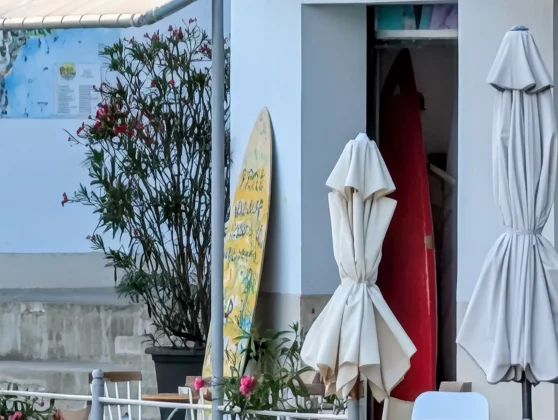 Pixel 10 Pro XL против Galaxy S25 Ultra: битва камерофонов фото