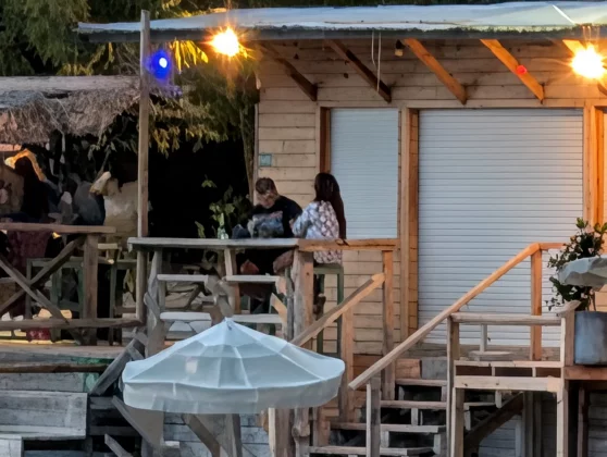 Pixel 10 Pro XL против Galaxy S25 Ultra: битва камерофонов фото