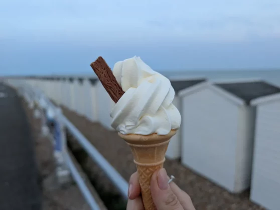 Обзор Pixel 9 Pro XL: всё еще король в замке? фото