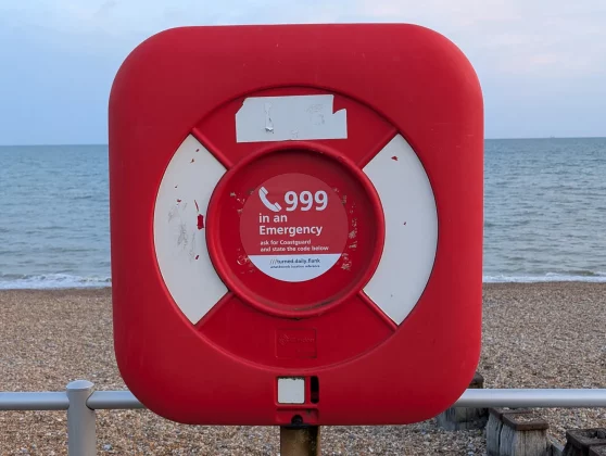 Обзор Pixel 9 Pro XL: всё еще король в замке? фото