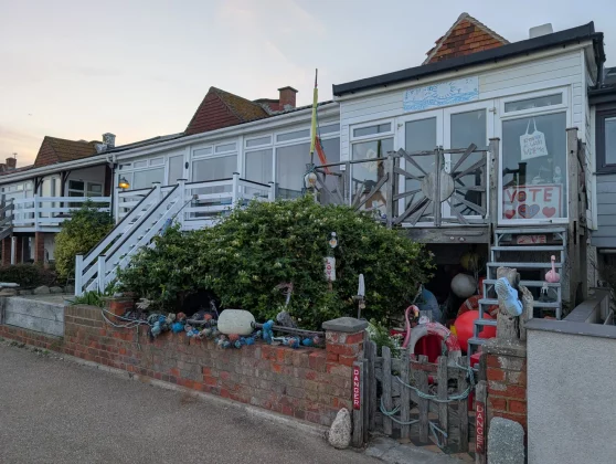 Обзор Pixel 9 Pro XL: всё еще король в замке? фото