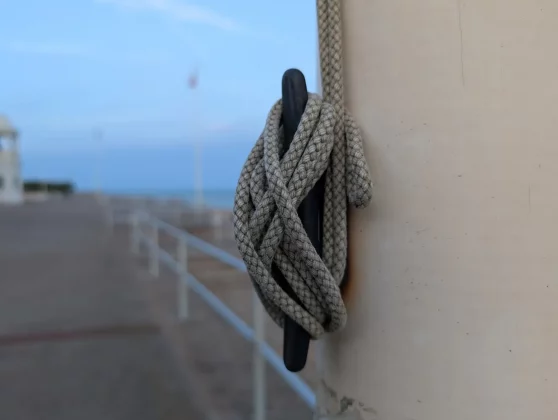 Обзор Pixel 9 Pro XL: всё еще король в замке? фото