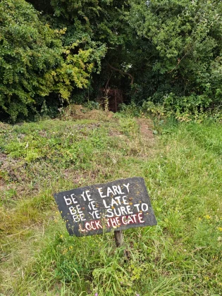 Обзор Poco F7: честный обзор после недели использования фото