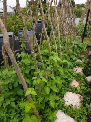 Обзор Poco F7: честный обзор после недели использования фото