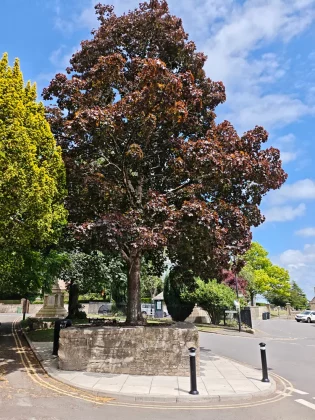 Обзор Poco F7: честный обзор после недели использования фото