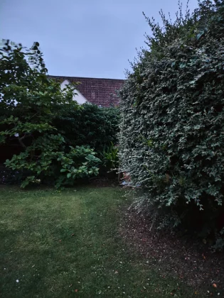 Обзор Poco F7: честный обзор после недели использования фото