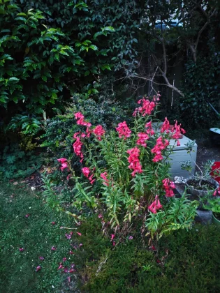 Обзор Poco F7: честный обзор после недели использования фото