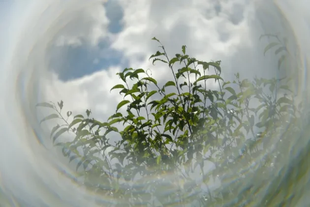 Обзор PolarPro Warp: тройная сила спецэффектов фото