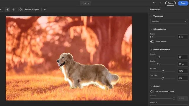 Программы для редактирования фотографий