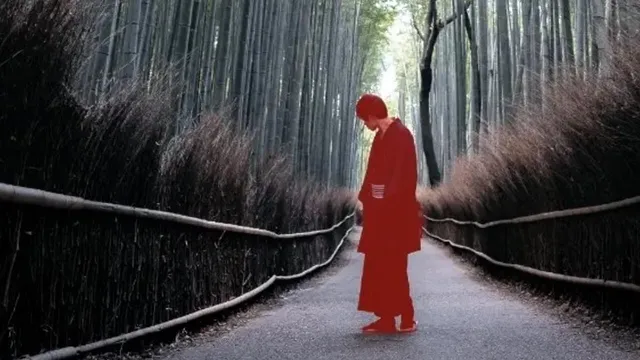 Программы для редактирования фотографий