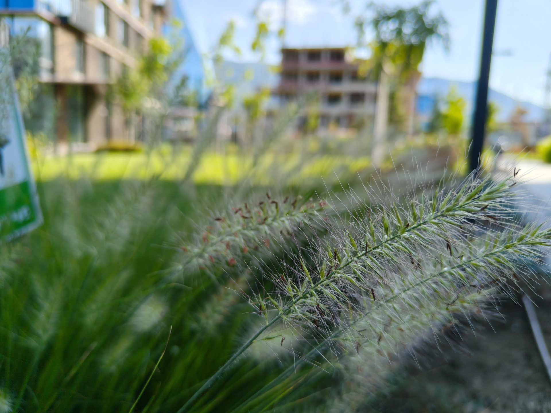 Обзор Realme P3 Ultra — мощный смартфон с 120Гц дисплеем картинка Realme P3 Ultra