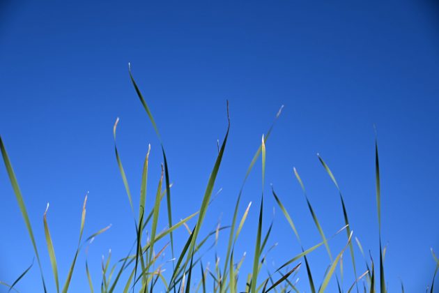 Забудьте про pro-камеры! Мой эксперимент с бюджетной техникой в путешествии. фото