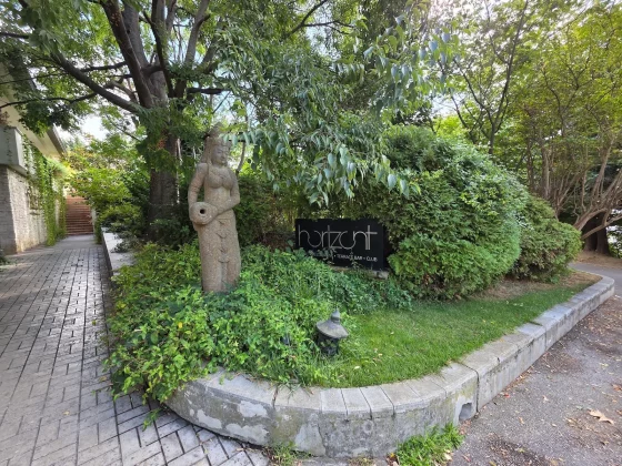 iPhone 17 Pro Max против Galaxy S25 Ultra