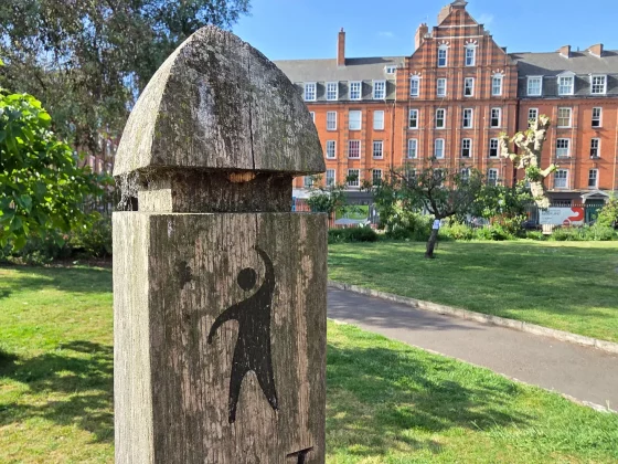 Обзор Samsung Galaxy S25 Edge: один фатальный недостаток фото