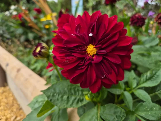 Samsung Galaxy Z Flip 7 FE Почему эта раскладушка_