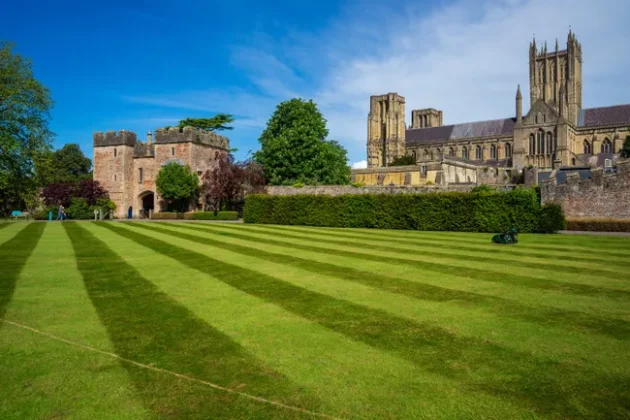 Обзор Sigma 24-70mm F2.8 DG DN II Art: новый стандарт зума фото