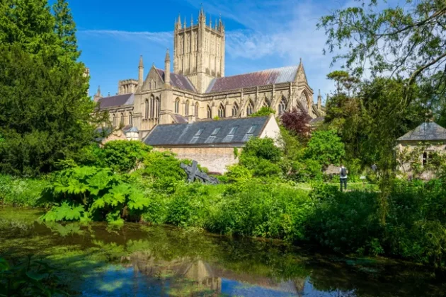 Обзор Sigma 24-70mm F2.8 DG DN II Art: новый стандарт зума фото