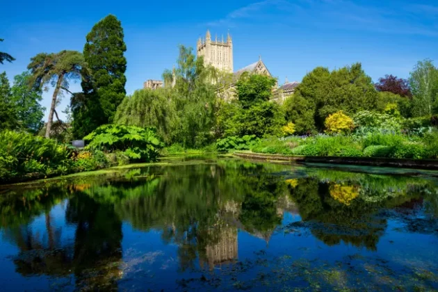 Обзор Sigma 24-70mm F2.8 DG DN II Art: новый стандарт зума фото