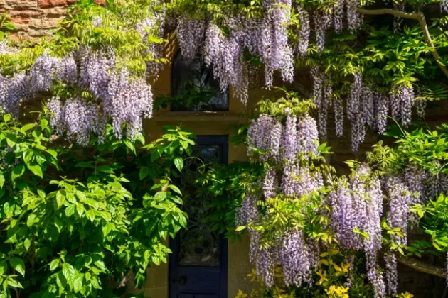 Обзор Sigma 24-70mm F2.8 DG DN II Art: новый стандарт зума фото