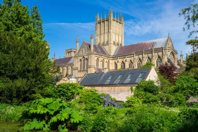 Обзор Sigma 24-70mm F2.8 DG DN II Art: новый стандарт зума фото