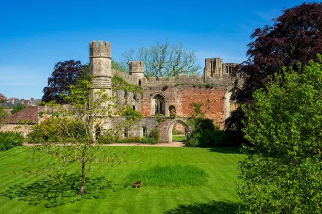 Обзор Sigma 24-70mm F2.8 DG DN II Art: новый стандарт зума фото