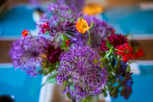 Обзор Sigma 24-70mm F2.8 DG DN II Art: новый стандарт зума фото