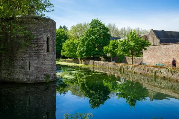 Обзор Sigma 24-70mm F2.8 DG DN II Art: новый стандарт зума фото