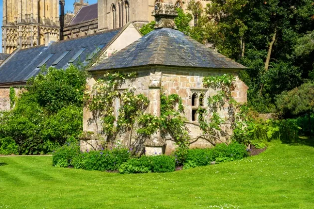 Обзор Sigma 24-70mm F2.8 DG DN II Art: новый стандарт зума фото