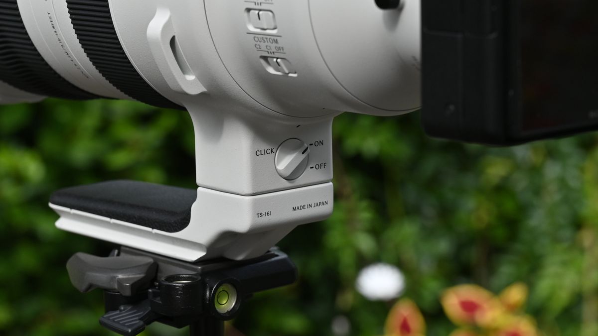 Sigma 300-600mm f_4 DG OS Sports полный обзор_