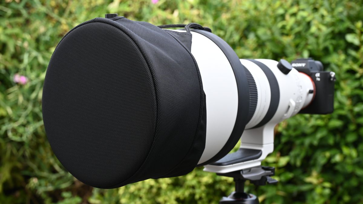 Sigma 300-600mm f_4 DG OS Sports полный обзор_