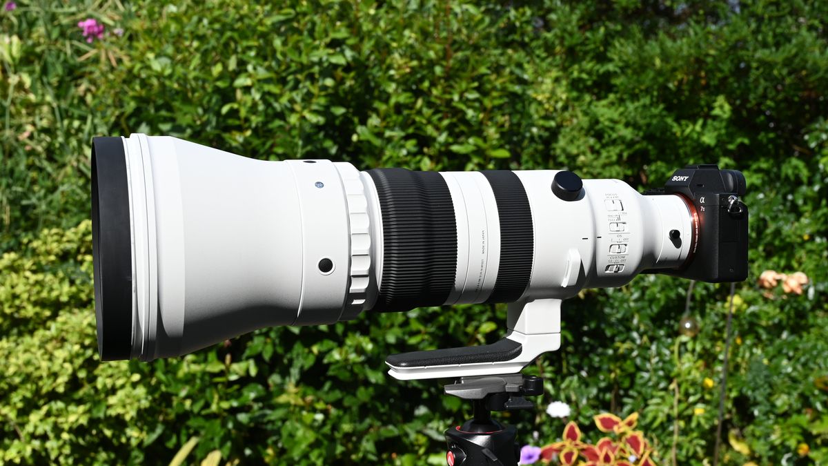 Sigma 300-600mm f_4 DG OS Sports полный обзор_