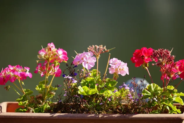 Sigma 300-600mm f_4 DG OS Sports полный обзор_20