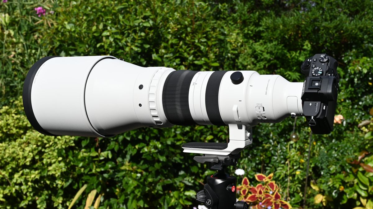 Sigma 300-600mm f_4 DG OS Sports полный обзор_