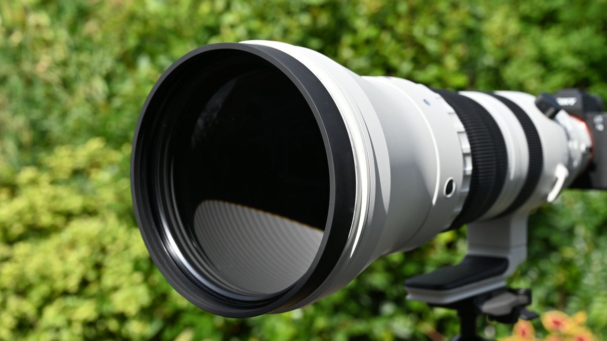 Sigma 300-600mm f_4 DG OS Sports полный обзор_