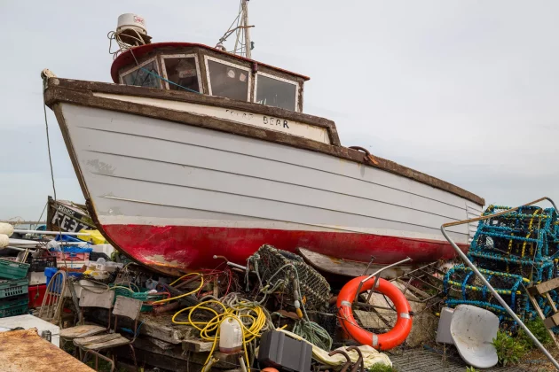 Sigma BF — минимализм и стиль_