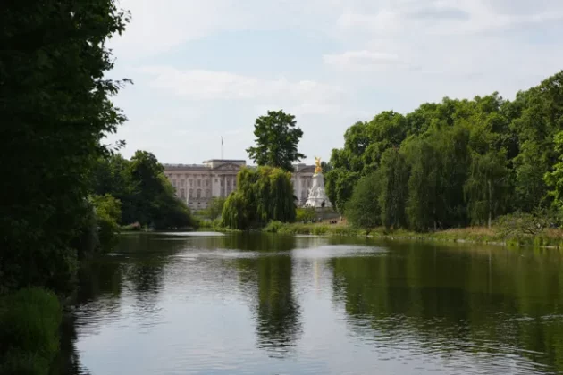 Обзор Sony FX2: доступная камера для гибридных проектов фото