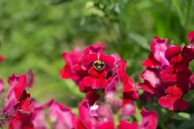 Обзор Sony FX2: доступная камера для гибридных проектов фото